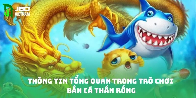 Thông tin tổng quan trong trò chơi bắn cá thần rồng