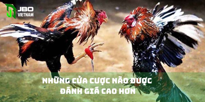 Cửa cược nào được đánh giá cao hơn